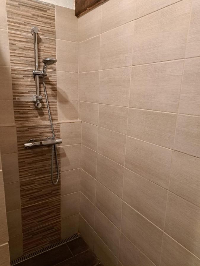 Vila Hedvika Nové Hrady Екстериор снимка